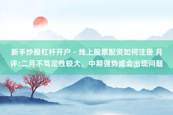 新手炒股杠杆开户 - 线上股票配资如何注册 月评:二月不笃定性较大，中期强势或会出现问题