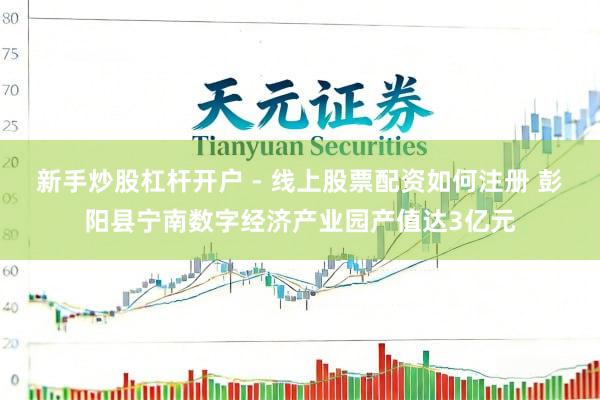 新手炒股杠杆开户 - 线上股票配资如何注册 彭阳县宁南数字经济产业园产值达3亿元