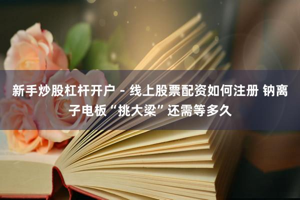 新手炒股杠杆开户 - 线上股票配资如何注册 钠离子电板“挑大梁”还需等多久