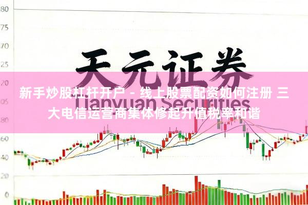 新手炒股杠杆开户 - 线上股票配资如何注册 三大电信运营商集体修起升值税率和谐