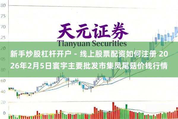 新手炒股杠杆开户 - 线上股票配资如何注册 2026年2月5日寰宇主要批发市集凤尾菇价钱行情