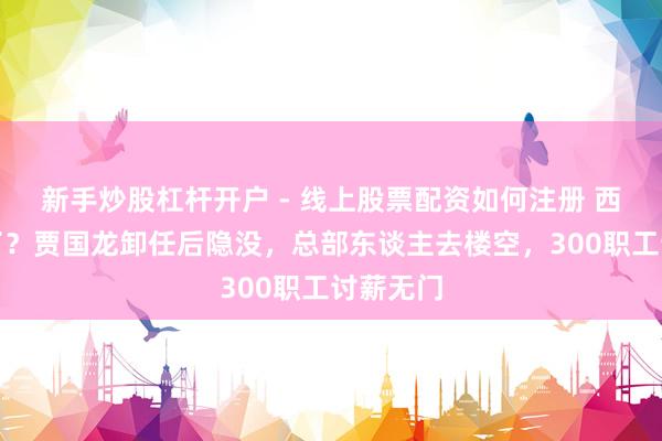 新手炒股杠杆开户 - 线上股票配资如何注册 西贝真凉了？贾国龙卸任后隐没，总部东谈主去楼空，300职工讨薪无门