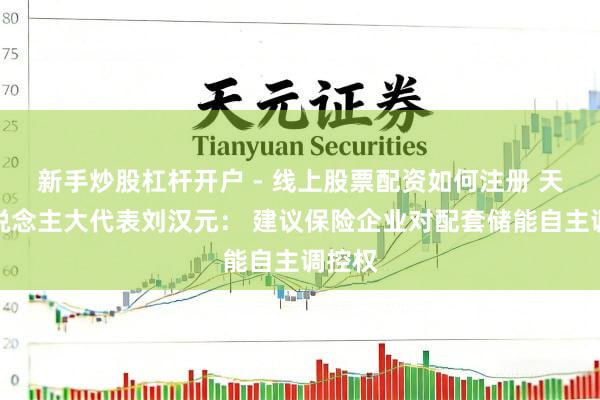 新手炒股杠杆开户 - 线上股票配资如何注册 天下东说念主大代表刘汉元： 建议保险企业对配套储能自主调控权
