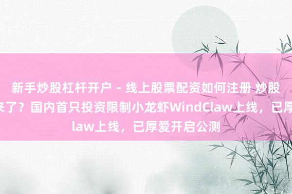 新手炒股杠杆开户 - 线上股票配资如何注册 炒股“小龙虾”来了？国内首只投资限制小龙虾WindClaw上线，已厚爱开启公测