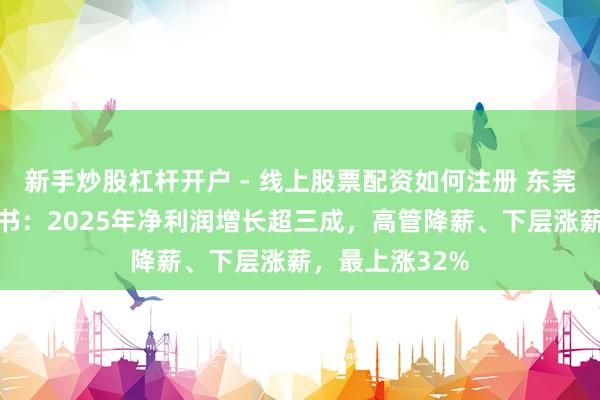 新手炒股杠杆开户 - 线上股票配资如何注册 东莞证券更新招股书：2025年净利润增长超三成，高管降薪、下层涨薪，最上涨32%